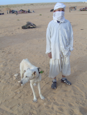 Fils bedouain