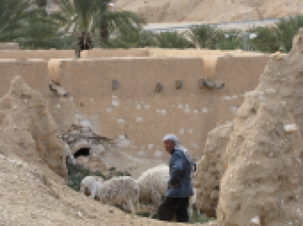 السياحة البيئية السياحة البيئية