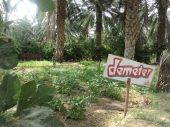 Elevage biodynamique dans les oasis de Hazoua